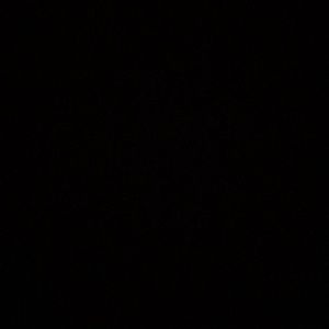 Meet your Posher, Temi